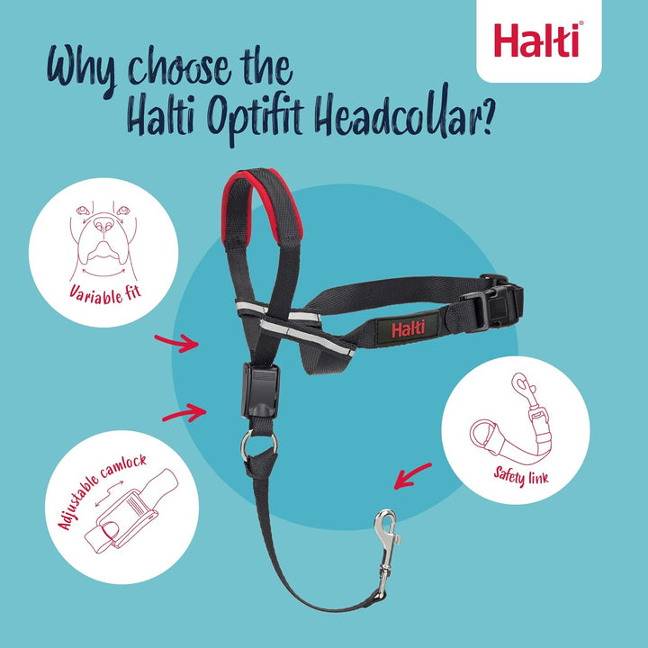 Halti Optifit Halfter und Trainingsleine Kombipack, Stop Dog Pulling on Walks with Halti, Inklusive