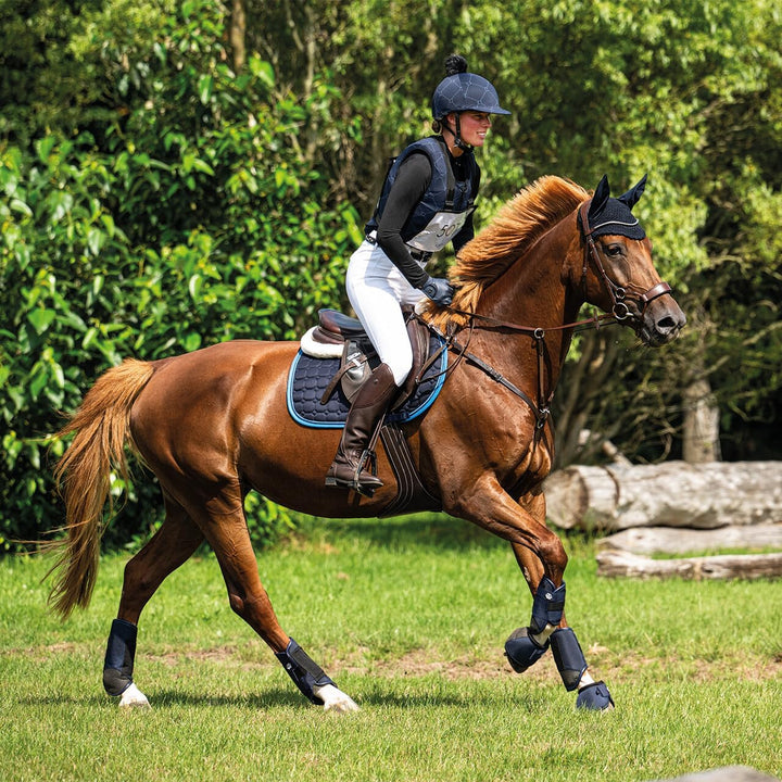QHP Q-Cross Eventing Gamaschen hinten, Grösse:L, Farbe:Navy Large Navy, Large Navy