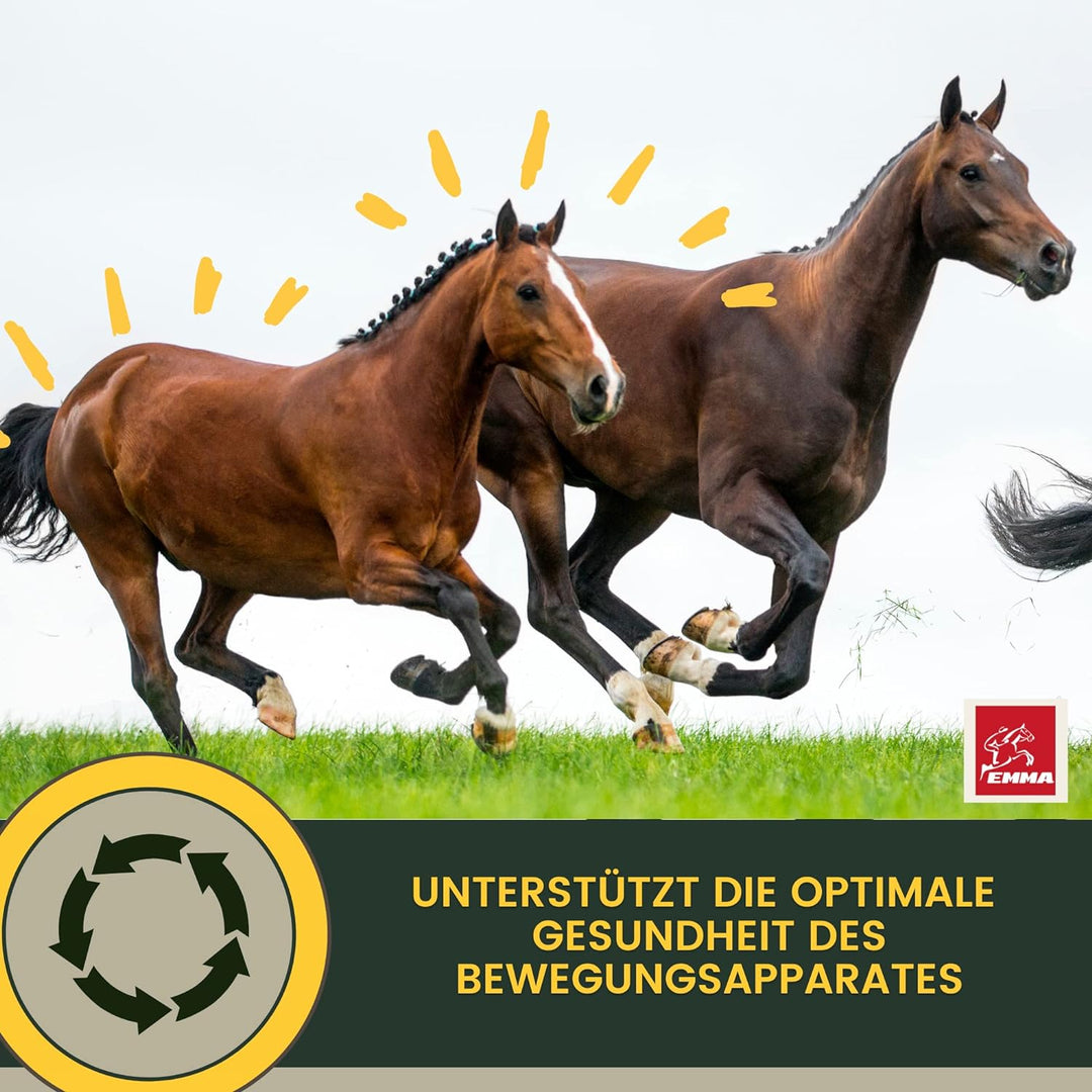 MSM Pulver I Gelenk Pulver für Pferde plus MSM Pferd - Knochen-Gelenk-Komplex mit Calcium Vitamin D