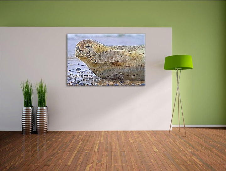 süsse Robbe beim Putzen Spezial Format: 100x70 cm auf Leinwand, XXL riesige Bilder fertig gerahmt mi