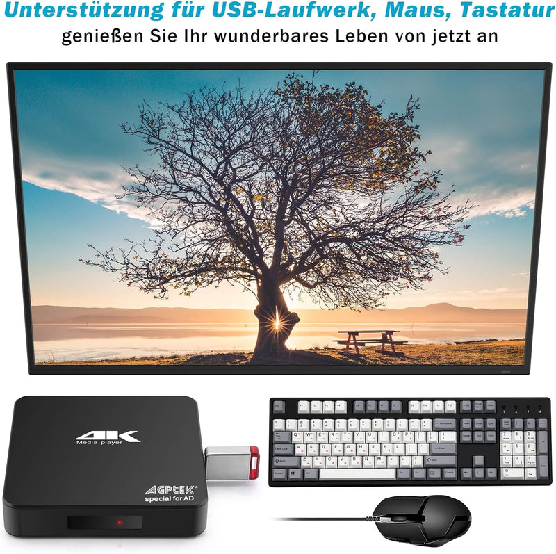 AGPTEK 4K@60hz MP4 Media Player unterstützt 8 TB HDD/256G USB-Laufwerk/SD-Karte mit HDMI/AV-Ausgang