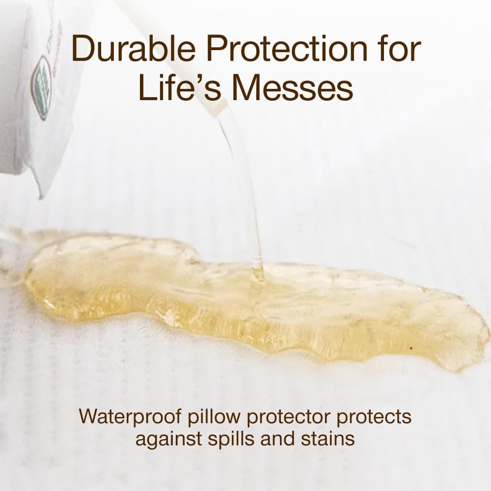 Coop Home Goods Waren Luxe wasserdicht Kissen Protector - Bmaboo abgeleitet, Viskose und Polyester M