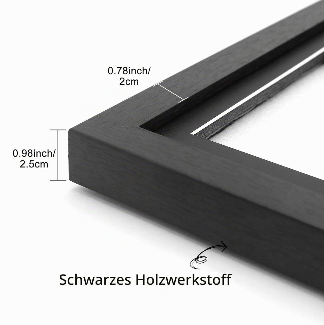FramePro Doppel-CD Musikrahmen Schaukasten Display 36x32,5 cm Disc und CD Box Echtglas mit Eva Schau