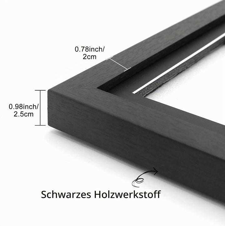 FramePro Doppel-CD Musikrahmen Schaukasten Display 36x32,5 cm Disc und CD Box Echtglas mit Eva Schau