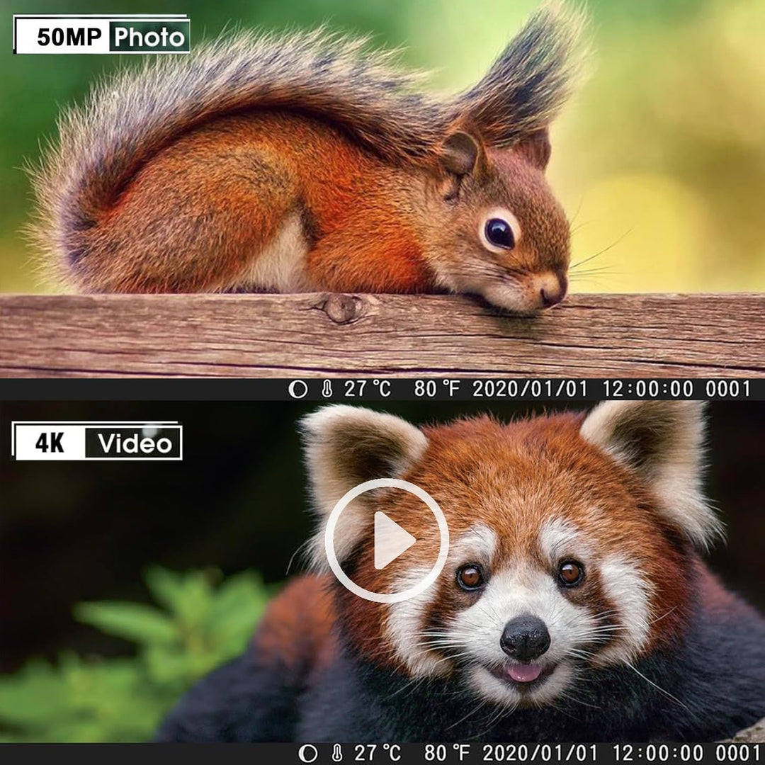 Wildkamera 50MP 4K, Wildtierkamera mit Nachtsicht Bewegungsmelder Weitwinkel 120°, 850nm IR LEDs Nac