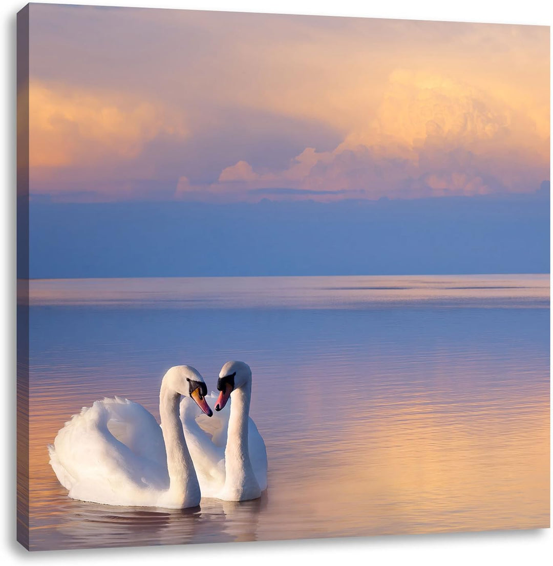 Pixxprint Schwäne in Abenddämmerung als Leinwandbild/Grösse: 70x70 cm/Wandbild/Kunstdruck/fertig bes