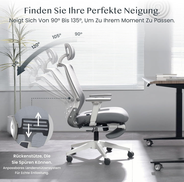 FLEXISPOT Ergonomischer Bürostuhl, Foldex, klappbarer Bürostuhl für Kleine Räume mit Lendenwirbelstü