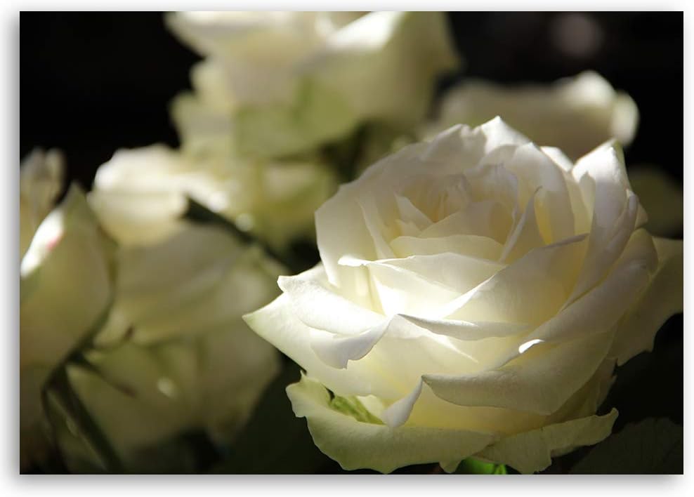 Feeby Dekobild Pflanze Deko Wand Kunstdruck Blume Beige 70x50 cm M14566 70x50 cm, M14566 70x50 cm