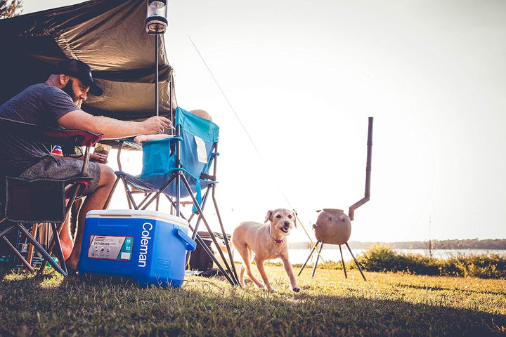 Coleman passive Kühlbox, Thermobox mit 15/30/60 L Fassungsvermögen, mobile passiv Kühlbox, Eisbox 16