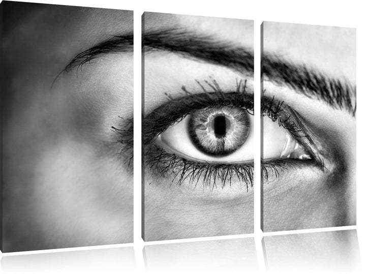 Pixxprint Monocrome, Auge Einer Frau 3-Teiler Leinwandbild 120x80 Bild auf Leinwand