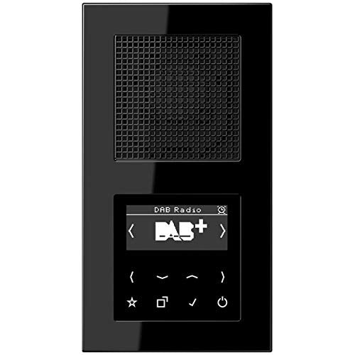 Jung Smart Radio DAB Komplett-Set Schwarz DABASW mit 1 Lautsprecher LSMA4SW und 2-Fach Rahmen A5582B