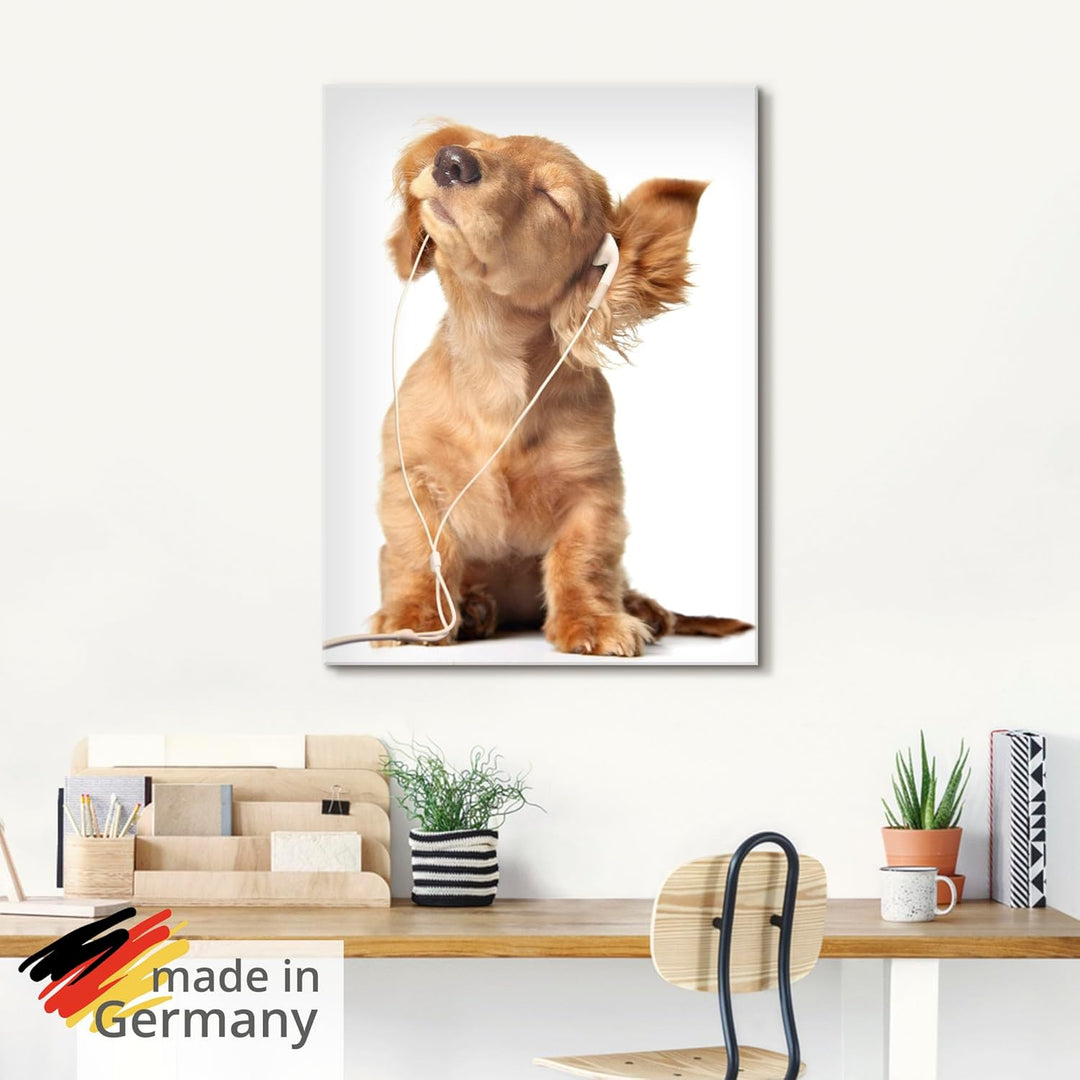 ARTland Glasbilder Wandbild Glas Bild einteilig 30x60 cm Hochformat Hund Tiere Musik Dackel Welpen L