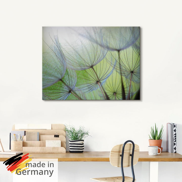 ARTland Glasbilder Wandbild Glas Bild einteilig 60 x 45 cm Botanik Blumen Pusteblume Foto Grün D1KE