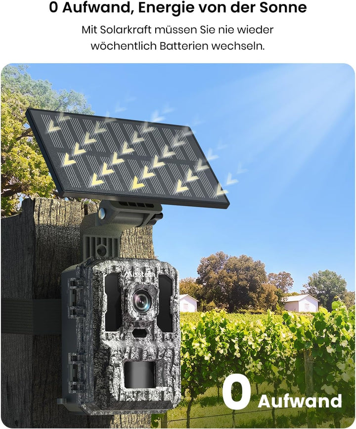 Misstech 4K 64MP UHD Solar Wildkamera mit Handyübertragung App, Klare Nachtsicht, Solar-autark, 0,1s