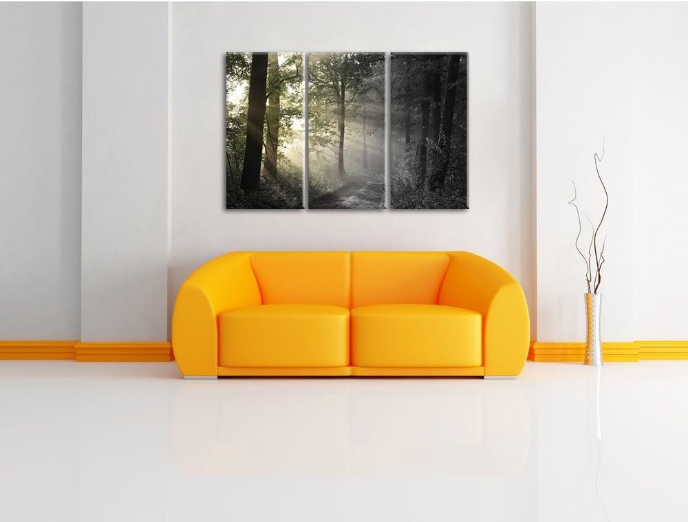 Pixxprint Waldweg im Grünen / 3-Teilig/Gesamtmass 120cm Leinwandbild bespannt auf Holzrahmen/Wandbil