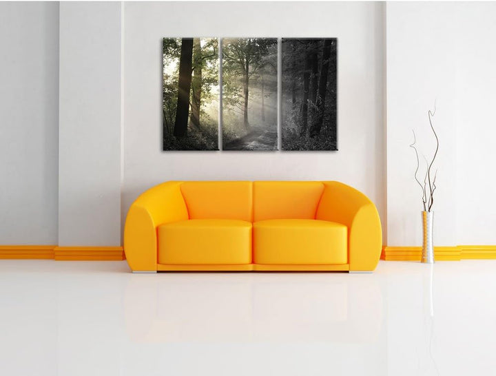 Pixxprint Waldweg im Grünen / 3-Teilig/Gesamtmass 120cm Leinwandbild bespannt auf Holzrahmen/Wandbil