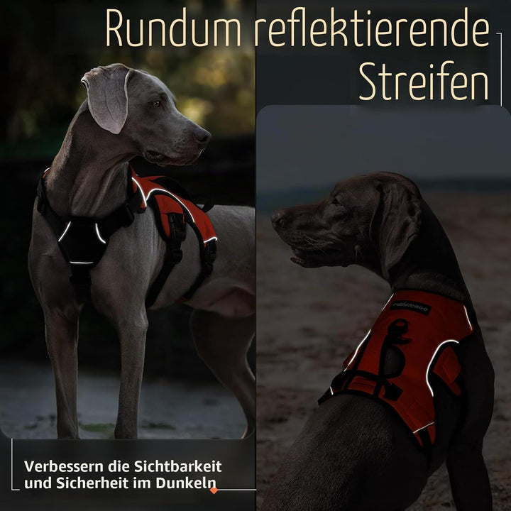 rabbitgoo Ausbruchsichere Hundegeschirr Mittelgrosse Hunde mit Grosse Griff, Anti Zug Sicherheitsges