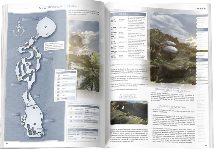 Final Fantasy XIII-2 - Das Offizielle Lösungsbuch: Das Offizielle Buch, Taschenbuch