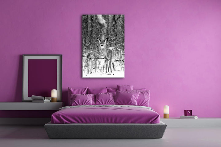 deyoli niedliches REH im Schnee Format: 3-teilig 120x80 Effekt: Schwarz/Weiss als Leinwand, Motiv fe