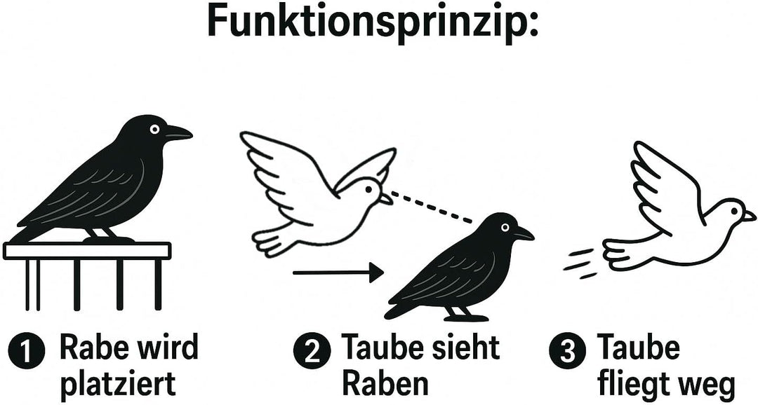 mgc24 Taubenschreck Rabe Lummy - Schwarze Vogelattrappe aus Kunststoff zur Abwehr von Tauben, Möwen,
