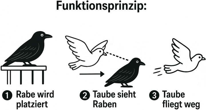 mgc24 Taubenschreck Rabe Lummy - Schwarze Vogelattrappe aus Kunststoff zur Abwehr von Tauben, Möwen,