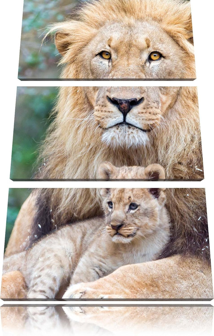 Pixxprint Löwe kuschelt mit Jungtier als Leinwandbild/Grösse: 3 Teilig (120x80) cm/Wandbild/Kunstdru