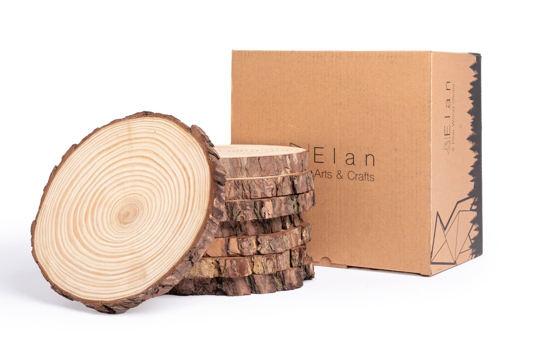 Elan Holzscheiben 20cm - 23cm Durchmesser 8 Stück, Baumstamm Scheiben, Baumscheiben Klein, holzschei