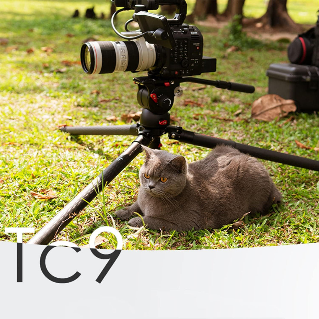 IFOOTAGE Gazelle TC9 Kamerastative,Kamera Stativ,Fotostativ,Stativ Kamera Flexibel,Basic-Einbeinstat