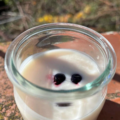 XILMARK Joghurtgläser mit Deckel 200 ml, Joghurtglas, Dessert-Glas mit Deckel, Joghurtglas mit Decke