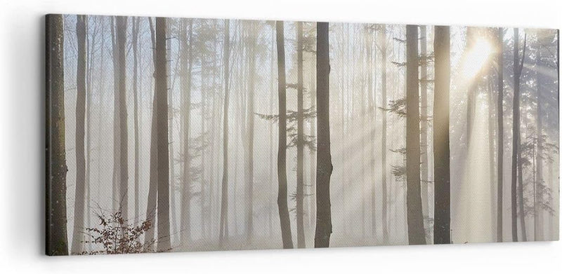 Wandbilder Dekoration Wohnzimmer Wald Baum Natur Panorama Bilder auf Leinwand 120x50cm Leinwandbild