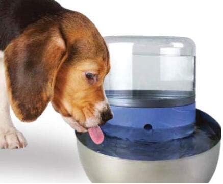 Pioneer Pet 3 Stück T-förmige Filter für Swan Food + Wasserstation und Serene Preminum Trinkbrunnen