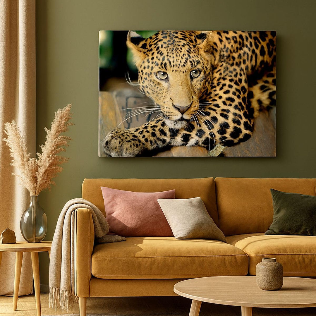 Bilder auf Leinwand Tiere gefährlich wilde katze Leinwandbild 70x50cm Wandbilder Dekoration Wohnzimm