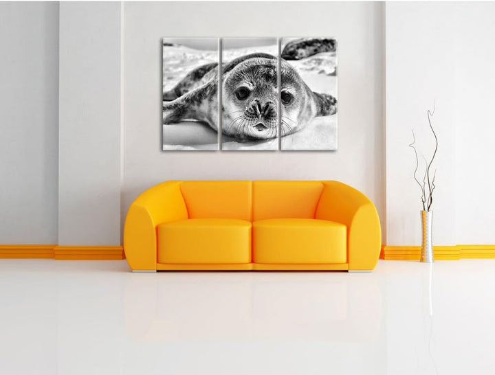 Pixxprint Monocrome, Süsses Robben Baby 3-Teiler Leinwandbild 120x80 Bild auf Leinwand