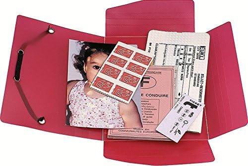 Exacompta 50889E Packung (mit 10 Sammelmappen Chromaline PP, Pocket Format 12 x 16 cm, 3 Klappen, Gu