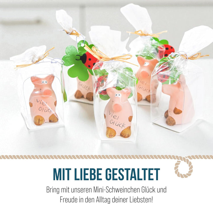 Logbuch-Verlag 10 Glücksschweinchen Viel Glück rosa Glücksschwein Glücksbringer 2024 Neujahr Silvest