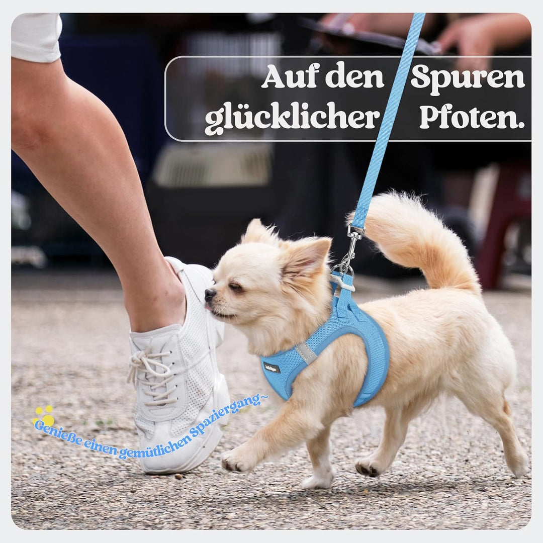 rabbitgoo Hundegeschirr Kleine Hunde mit Leine, Step-in Welpengeschirr Weich Mesh für Spaziergänge,