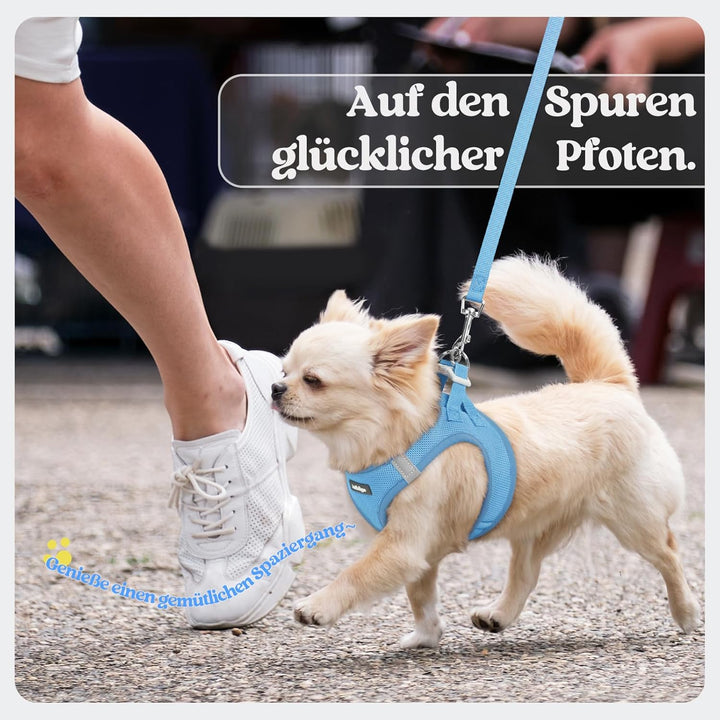 rabbitgoo Hundegeschirr Kleine Hunde mit Leine, Step-in Welpengeschirr Weich Mesh für Spaziergänge,