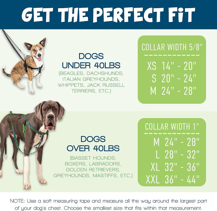 2 Hounds Design Freedom Hundegeschirr und Trainingsleine gegen Ziehen, doppelte Leinenschlaufen, gef