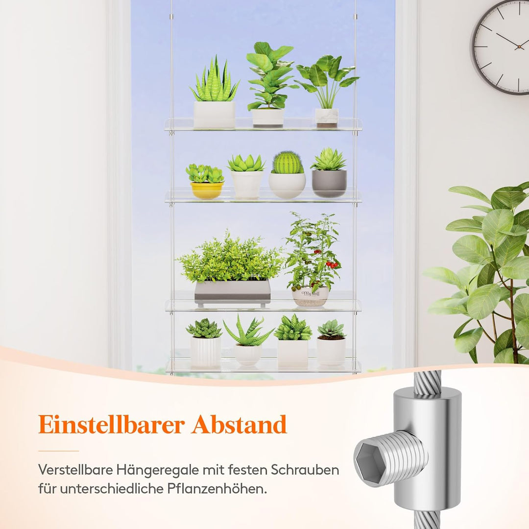 Lifewit Wandregal Blumentopf, 2 Stufen Transparent Vertiefung Kunststoff Pflanzenregal Schwimmende f