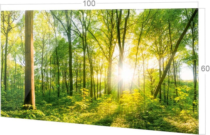 GRAZDesign Spritzschutz Küche Glas Wald, Lichtung, Bäume in Grün, Küchenrückwand Glas für Herd und S