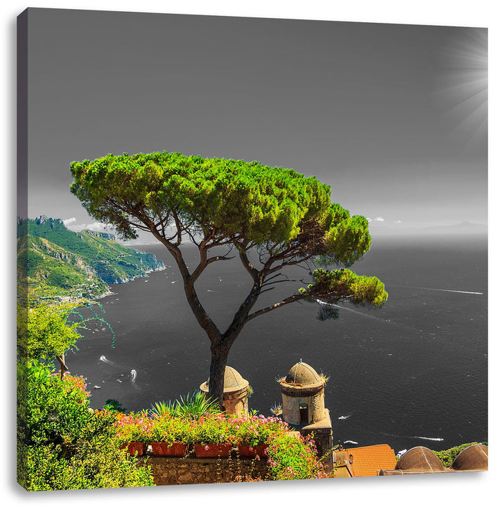 Pixxprint Baum am Mittelmeer als Leinwandbild/Grösse: 70x70 cm/Wandbild/Kunstdruck/fertig bespannt,