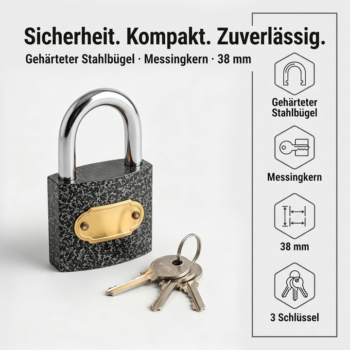KEILEOHO 14er Set Vorhängeschloss Schwarz, 38mm Vorhängeschlösser mit Schlüssel, Vorhängeschloss Kle