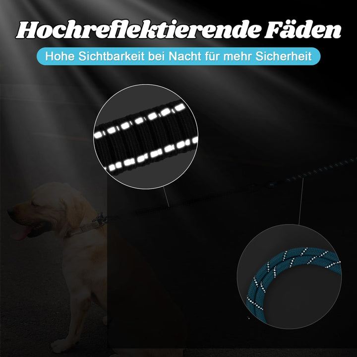 Aystkniet Bungee Schleppleine für Hunde 3M 5M 9M 10M 15M 20M 30M, Schockabsorbierende Hundeleine mit