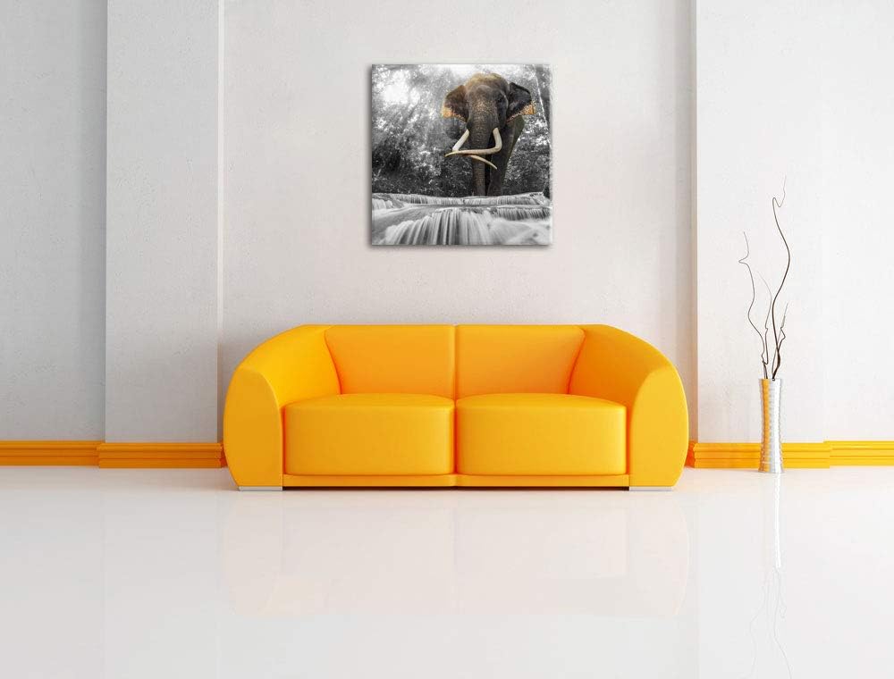 Pixxprint riesiger Elefant am Bach als Leinwandbild | Grösse: 70x70 cm | Wandbild | Kunstdruck | fer