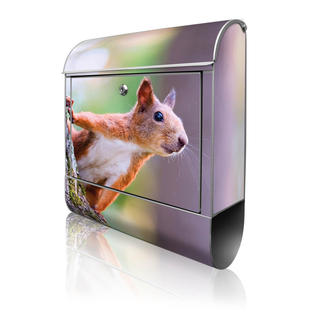 banjado® Design Briefkasten mit Motiv Eichhörnchen 39x47x14cm &amp; 2 Schlüssel - Briefkasten Stahl Silb