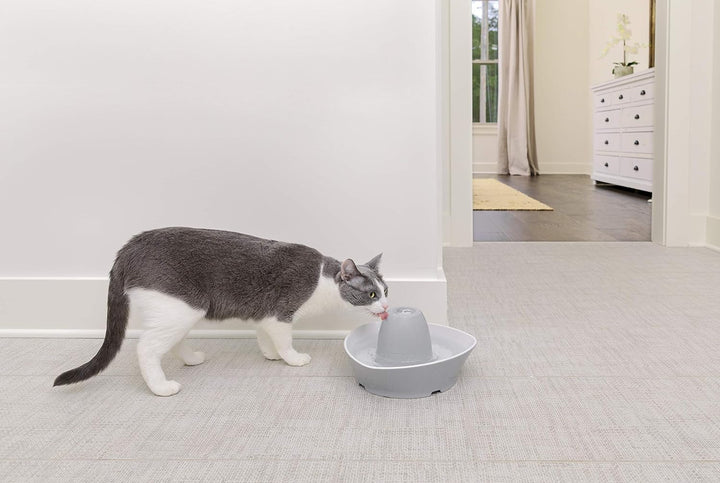 PetSafe Keramik-Trinkbrunnen Streamside, Für Katzen und kleine Hunde geeignet, Leiser Betrieb, 1,8 L
