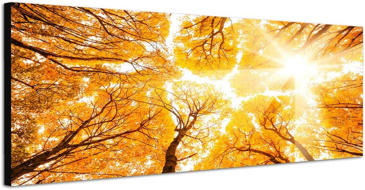 Paul Sinus Art Panoramabild auf Leinwand und Keilrahmen 150x50cm Wald Baumkronen Himmel Sonnenlicht