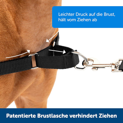 PetSafe Easy Walk-Geschirr, Anti-Zieh-Hundegeschirr, Verringert Würgen und Husten, Mit 1,8 M Leine,