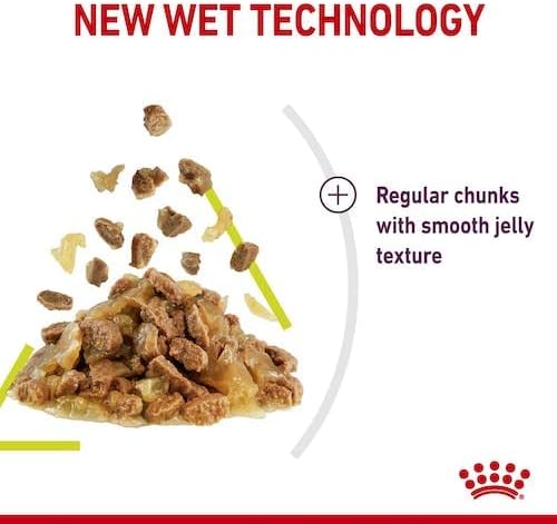 Royal Canin Sensory Smell Jelly | Doppelpack | 2 x 12 x 85 g | Nassfutter für ausgewachsene Katzen |