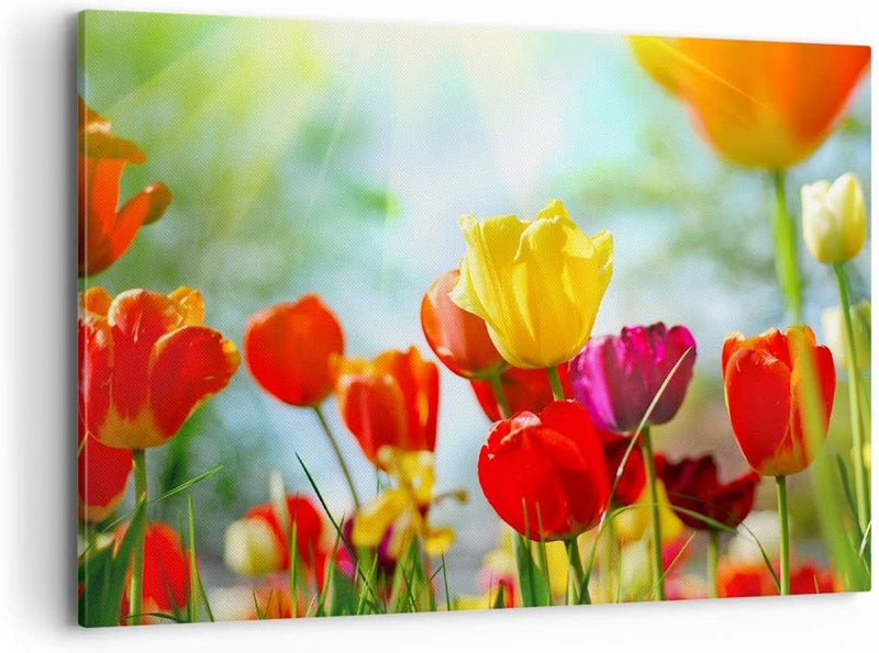 Bilder auf Leinwand 100x70cm Leinwandbild Tulpe Blume Plantage Wiese Gross Wanddeko Bild Schlafzimme